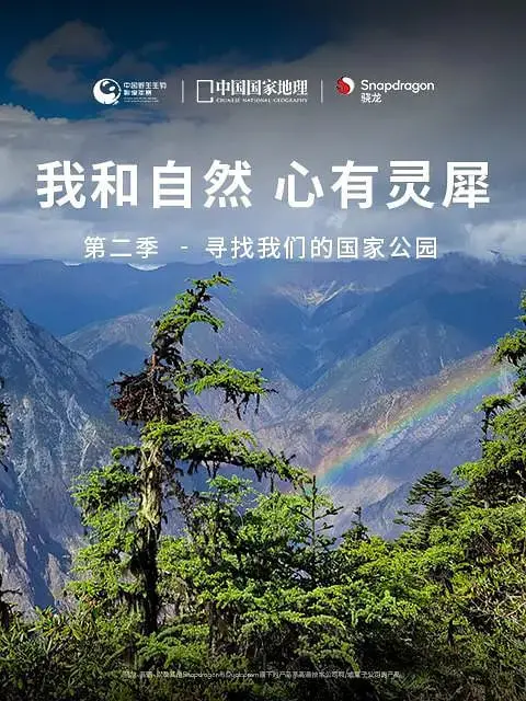 《我和自然 心有灵犀 第二季》：人与大自然的深情续集，探索环保与心灵的奇妙联结