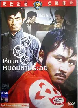 霹雳拳 海报